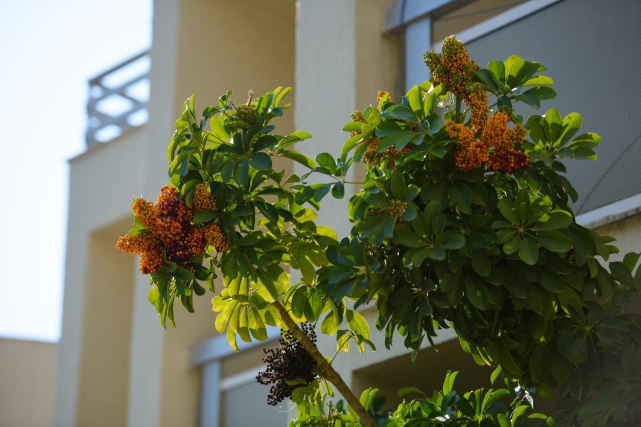Amalia Corfu Hotel - Adults Only Kato Korakiana Exterior photo